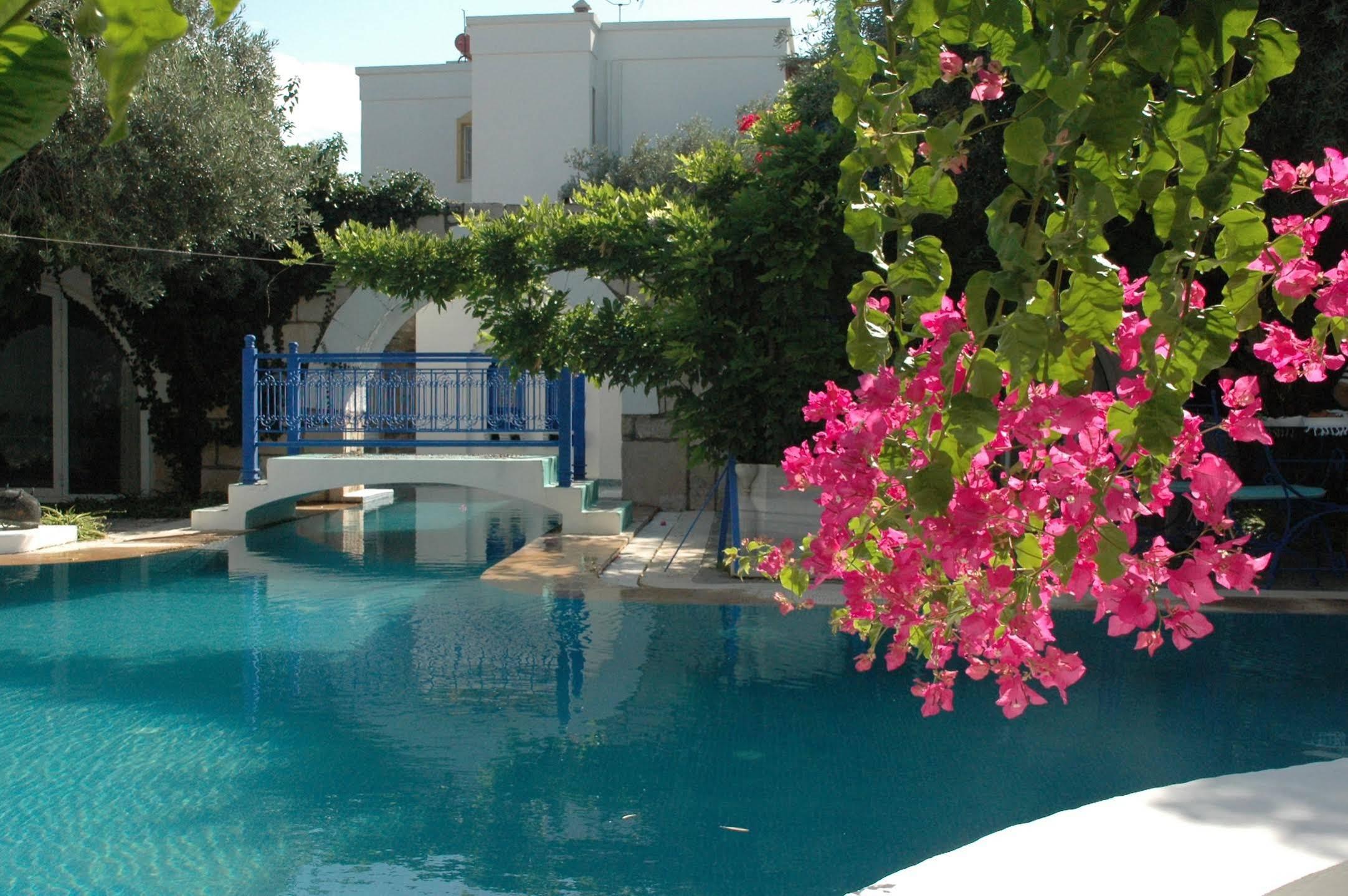 Villa Oliva Butik Hotel Konacik ภายนอก รูปภาพ
