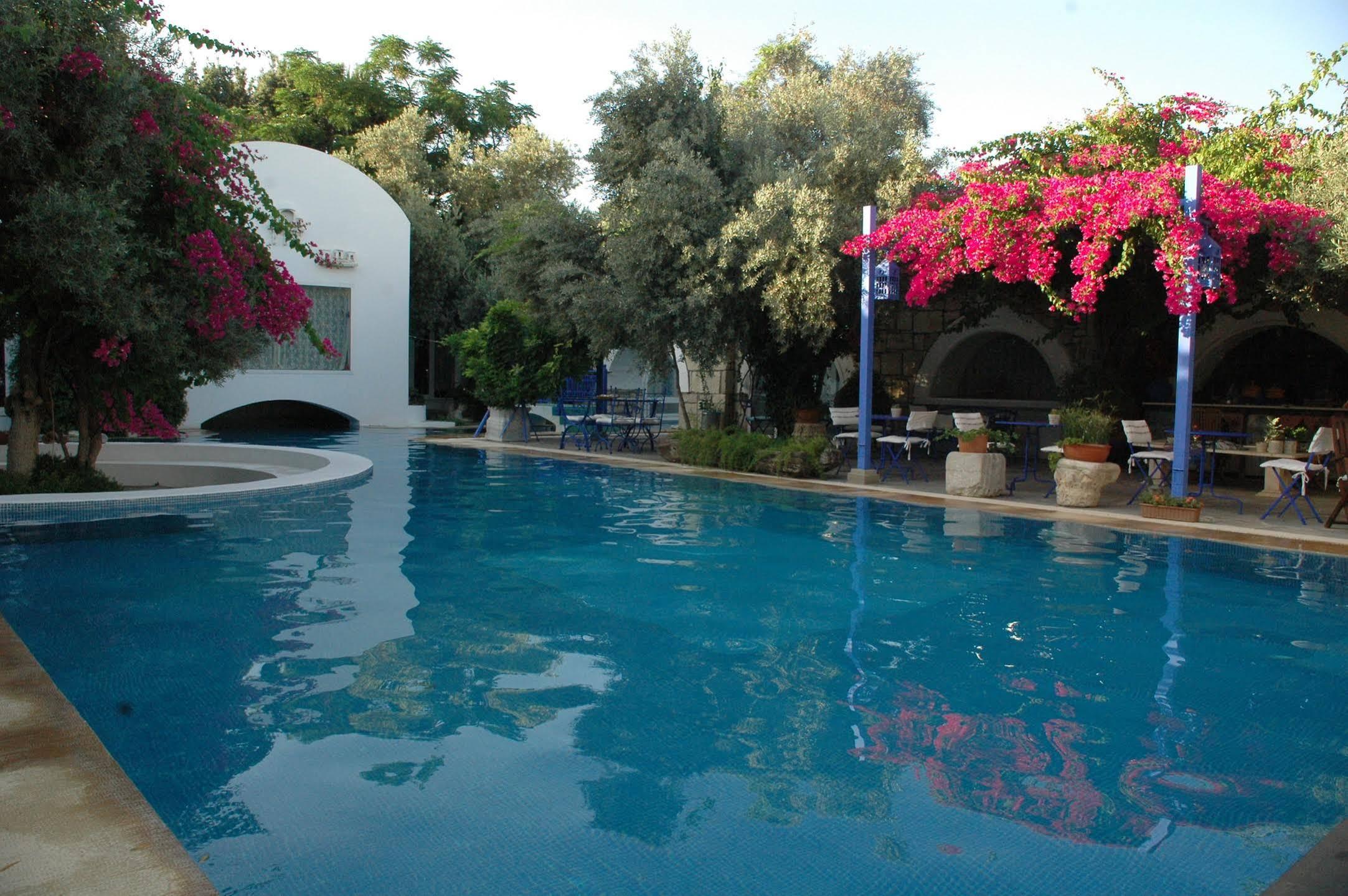 Villa Oliva Butik Hotel Konacik ภายนอก รูปภาพ